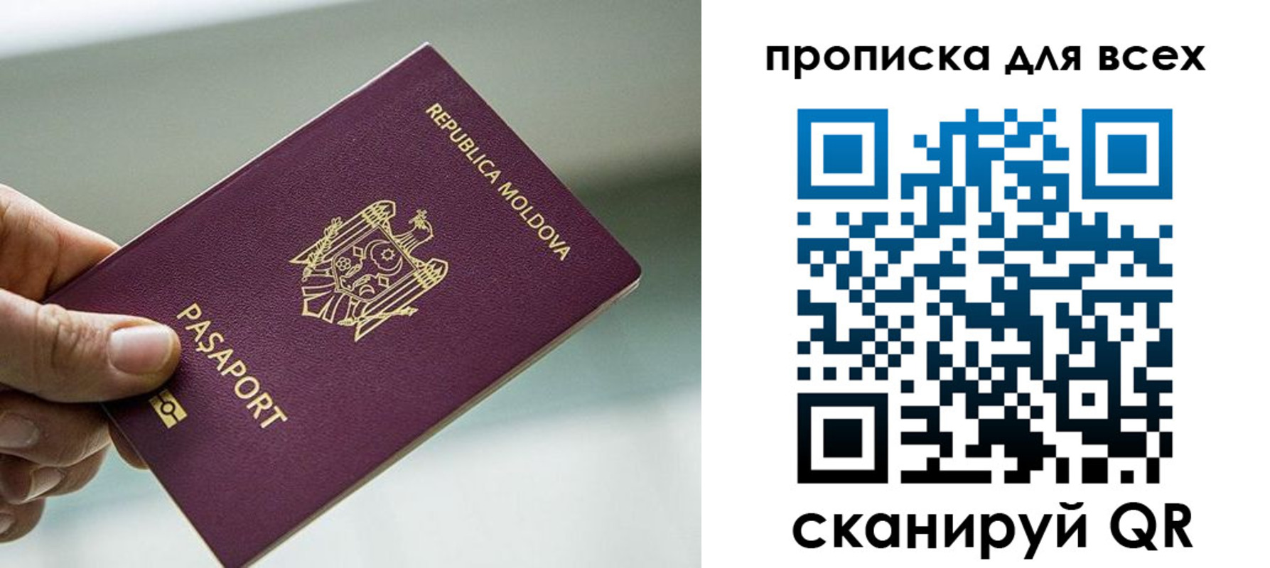 прописка иностранных граждан в Кировске